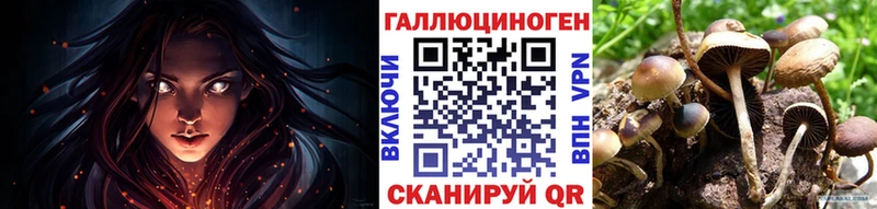 Псилоцибиновые грибы мицелий Балабаново