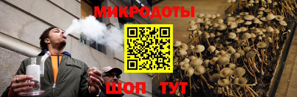 Псилоцибиновые грибы прущие грибы  Вход с VPN  Балабаново 